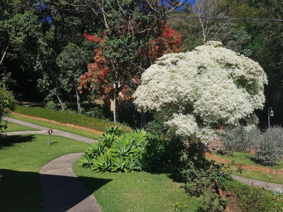 Recanto Dos Beija Flores, Chale Lantana B Монте Алегре до Сул Екстериор снимка